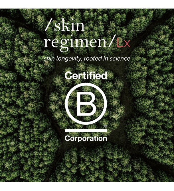 SKIN REGIMEN LX CHARCOAL MASK