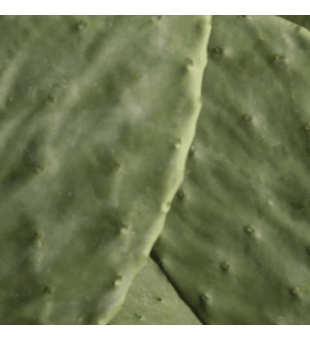 HYDRAMEMORY KIT FACIAL HIDRATANTE