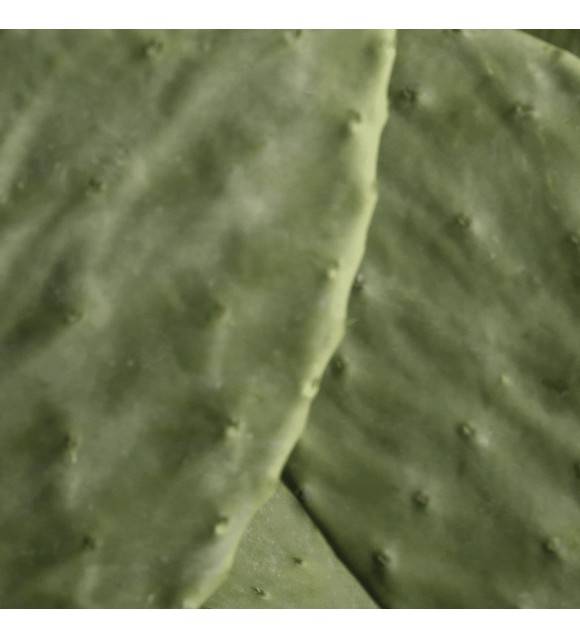 HYDRAMEMORY KIT FACIAL HIDRATANTE