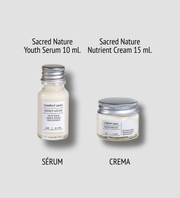 THE REGENERATION KIT