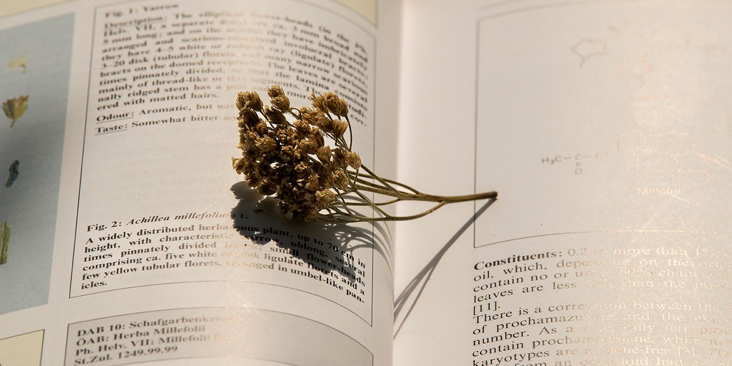 Adiós a las quemaduras solares, cómo prevenirlas y tratarlas